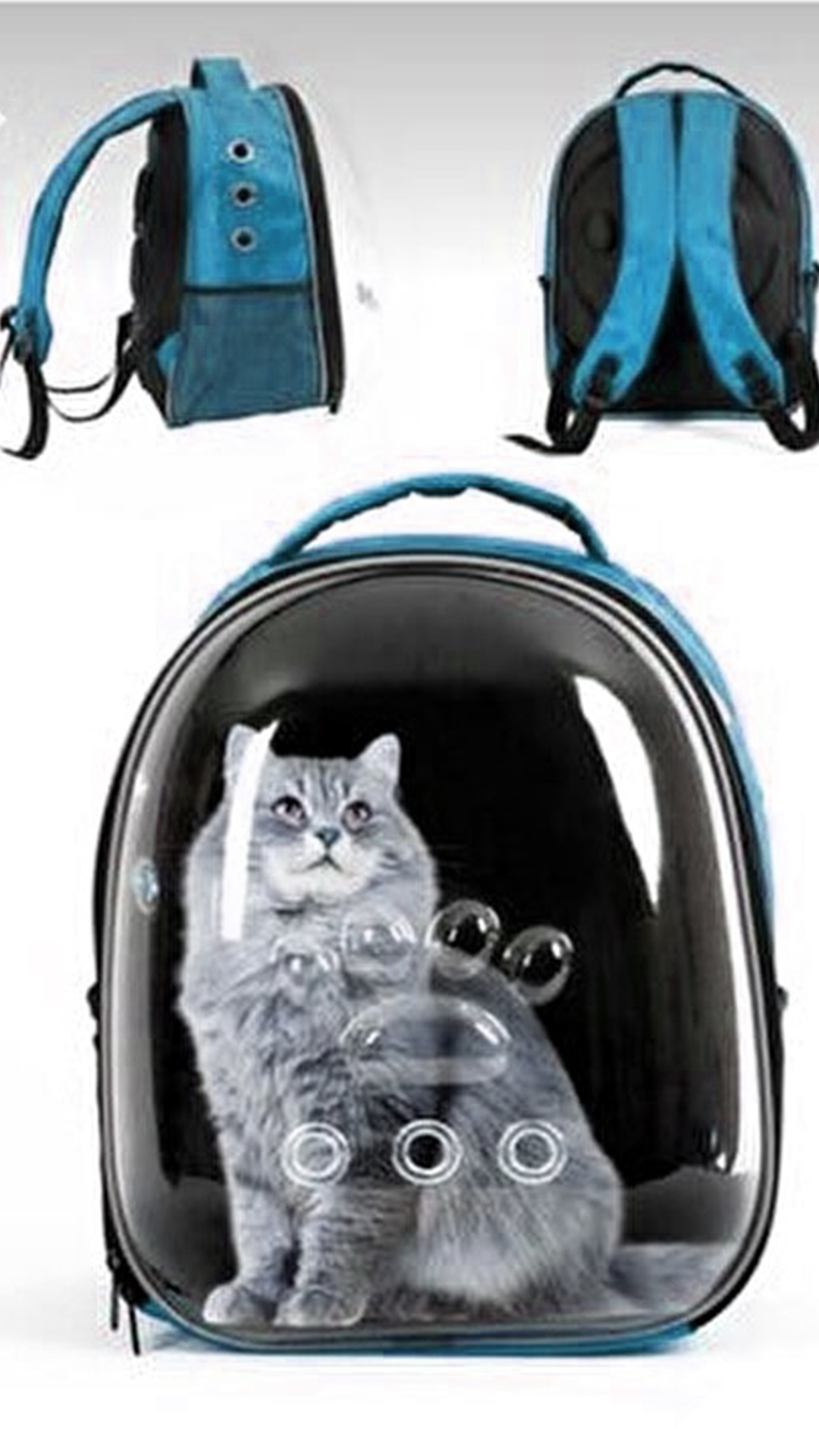 Pati Desenli Şeffaf Astronot Kedi Taşıma Sırt Çantası mavi-1