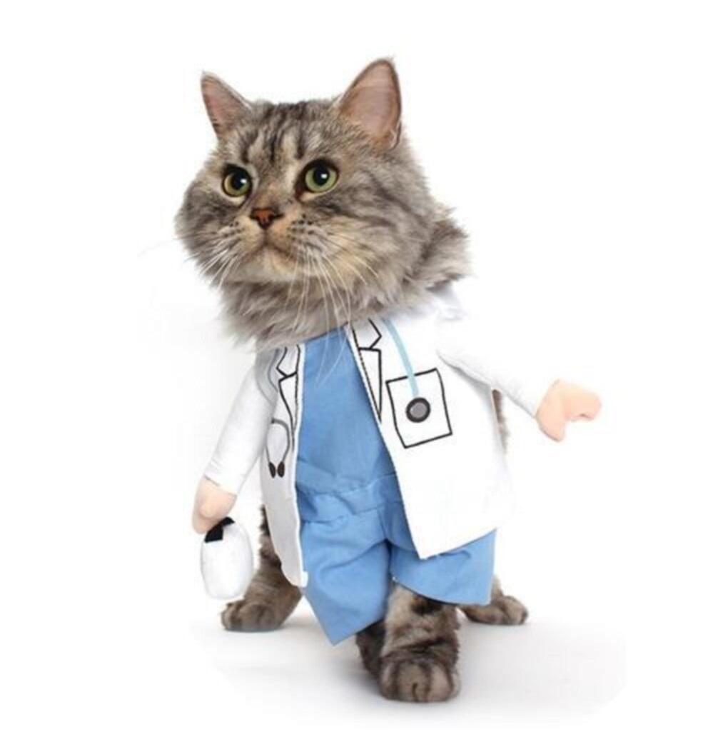 kedi ve köpekler için doktor kostümü s beden-1
