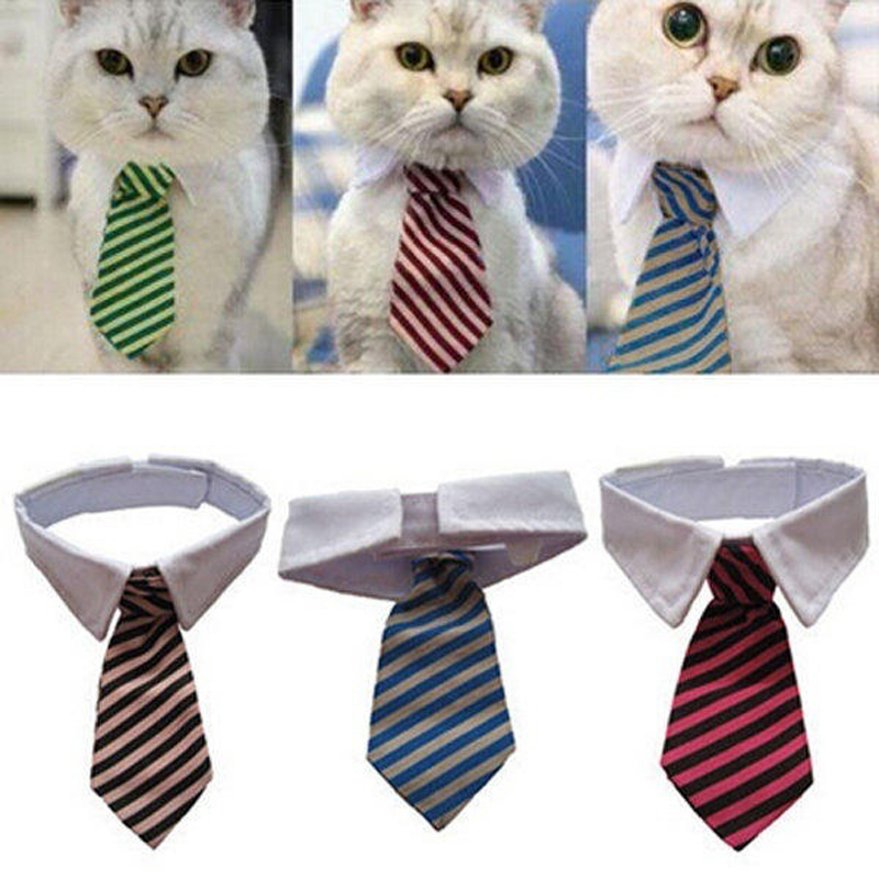 kedi ve köpekler için yakalı kravat-1