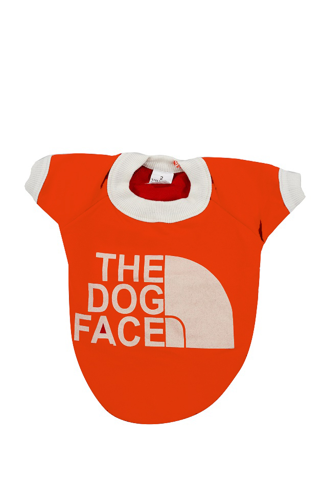 the dog face tshirt turuncu no:2-1